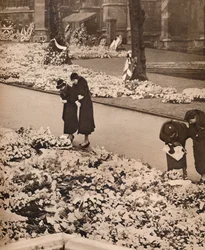 O funeral do rei George V em Windsor: coroas comemorativas, 1936