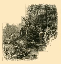 Os jardins tropicais, Battersea Park, c1878.