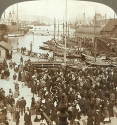 O porto, noroeste do mercado em Bergen, o maior mercado de peixes da Noruega, c1905.