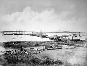 O porto, Auckland, Nova Zelândia, c1870-1880
