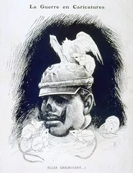 Eles mordiscam !, 1915