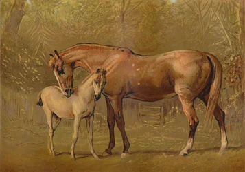 Égua e potro do puro-sangue, c1879.