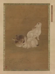Três coelhos.