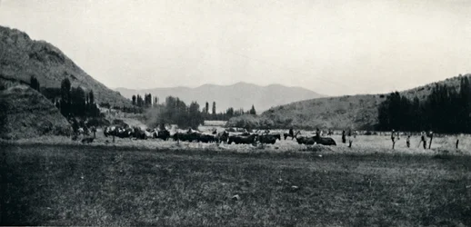 Trilhando o milho da maneira antiga, 1911