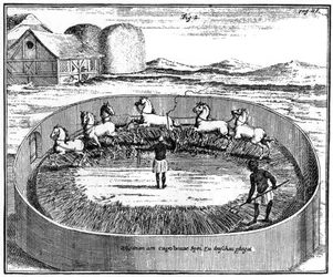 Trilha do milho, África do Sul, século 1831