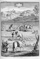 Cultivando a terra, 1775