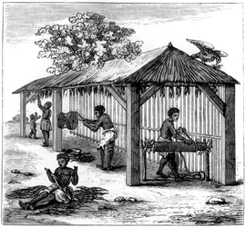 Preparação de tabaco, 1873