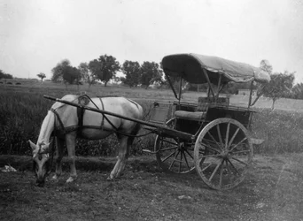 Carroça de cavalo de Tonga, Muttra, Índia, 1917