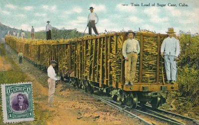 Carga de trem de cana-de-açúcar, Cuba, 1911