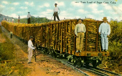 Carga de trem de cana-de-açúcar, Cuba, c1910s.