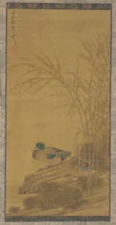 Dois patos entre juncos à beira da água, dinastia Ming ou Qing, século XV-XVIII.