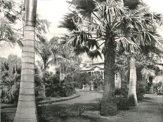 Jarda havaiana típica, Honolulu, EUA, 1895.