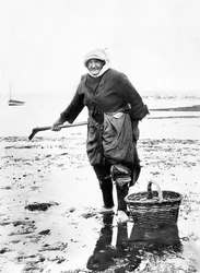 Reino Unido: uma senhora idosa apanha berbigões na praia. Cerca de 1890