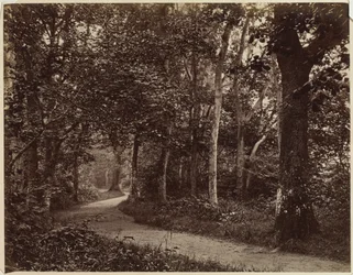 Paisagem sem título, início dos anos 1860.