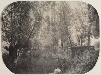 Paisagem sem título com cachorro, c. 1910
