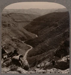 Vale do Arno, pastor e ovelhas em primeiro plano, c1900