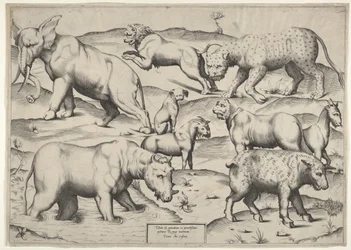 Vários animais.