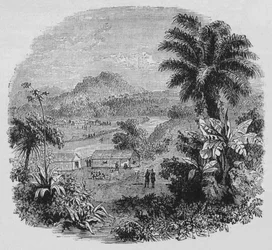 Vista em Cayenne, c1880