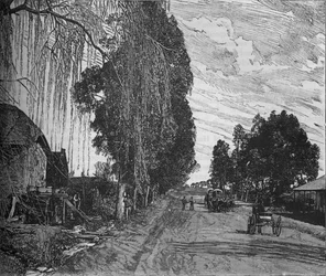 Ver perto de Pretória, c1880