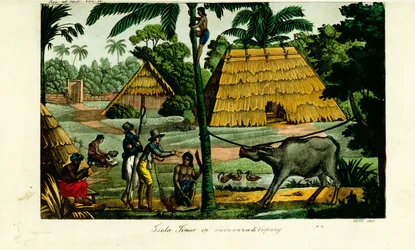 Cena da aldeia perto de Kupang, Timor