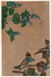 Plantas aquáticas com flores azuis, período Edo, 1615-1868.
