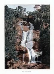 Cachoeira na Tijuca, Rio de Janeiro, Brasil, século XIX