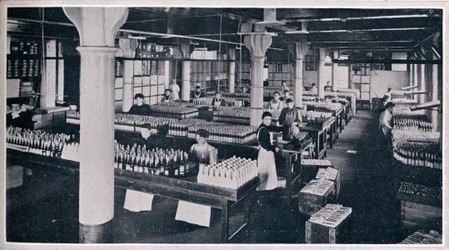 Onde é construído o famoso Yorkshire Relish, 1906