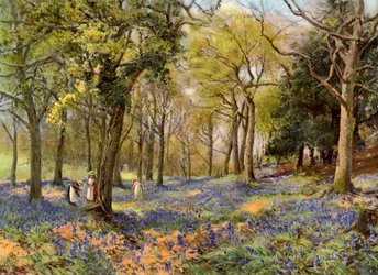 Jacintos selvagens em um Surrey Copse, 1906