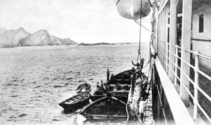 Guincho de uma vaca em um barco na costa do Chile, c1900s
