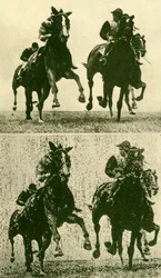 Foto-telegrafia sem fio, c1930.