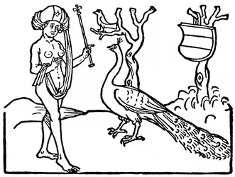 Mulher e pavão, 1475, 1964.