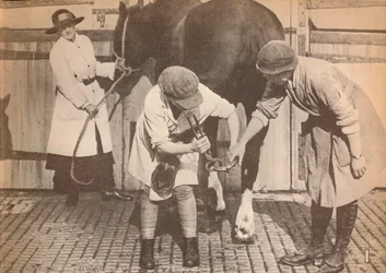 Mulheres como ferradores no hospital de cavalos de uma grande empresa de contatores de transporte, c1916, 1935