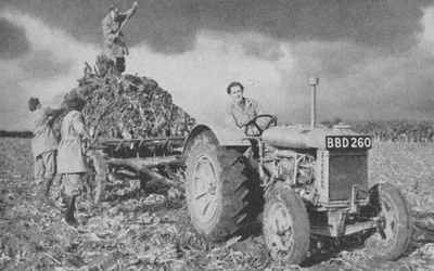 Exército de mulheres terra levantando uma colheita, Segunda Guerra Mundial, 1940