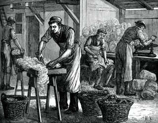 Classificadores de lã, c1880