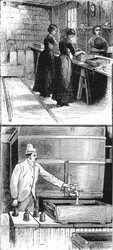 Trabalhadores da Nobel Explosives Company Limited, Ardeer, Ayrshire, 1884
