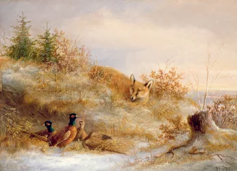 Fox e faisões no inverno (óleo)