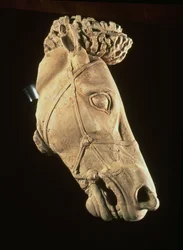 Cabeça de cavalo, do 4º ao 5º século aC