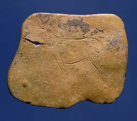 Rena, incised, desenho, ligado, pedra calcária, paleolithic, Magdalenian, V, de, Laugerie, Basse, dordogne, c.12000, bc