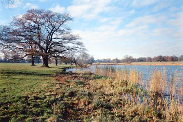 Vista, de, a, lago, Corsham, corte, wiltshire