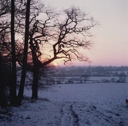 Cena de inverno na neve, Hockley, Essex