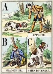 A B C: Trazer, caçador furtivo, cão de caça - O alfabeto de caça, c.1890 (gravura)