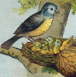 Uma ave alimenta seus filhotes em um ninho. Gravura em "Alfabeto de ma petite fille". Bernardin-Bechet e Fils, livreiros-editores, Paris, por volta de 1895. Álbum inquebrável em lona. Bibliotheque des babes. 12 páginas. Álbum contendo um método de leitura 