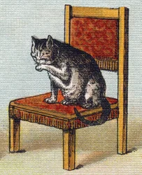 Um gato numa cadeira. Gravura em "Alfabeto de ma petite fille". Bernardin-Bechet e Fils, livreiros-editores, Paris, por volta de 1895. Álbum inquebrável em tela. Bibliotheque des Bebes. 12 páginas. Álbum contendo um método de leitura e um abeceda ilustrati