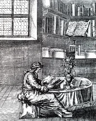 Uma leitura cavalheiresca