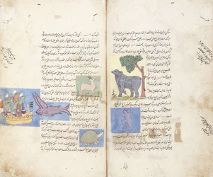 Uma página do manuscrito persa "Aja" ib al-Makhluqat wa Ghara "ib al-Maujudat