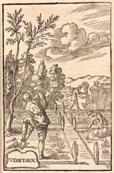 Agricultura: fermiers et ouvriers agricoles creusent, binent et recoltent - Agricultores & Trabalhadores agrícolas Escavação, enxada e colheita