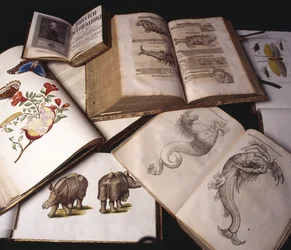 Livros de Zoologia Antigua