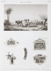 Poder Animal Irrigação movida a animais, Egito, c 1798