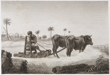 Arable Farming, Harvesting Threshing machine, Egypt, c 1798