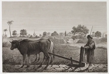 Lavoura Arável, Lavoura com bois, Egito, c 1798